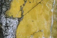 Anne-Marie-1306-GEVANGEN-1-Monoprint