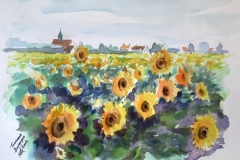 19-aquarel-Beauvoir-zonnebloemen-Fr.