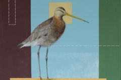 Judith-van-Heel-2018-vogels-_29A1560