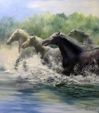 lydia-baarda-paarden-in-water
