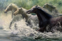 lydia-baarda-paarden-in-water