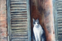 kat-in-venster